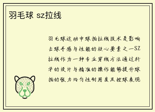 羽毛球 sz拉线