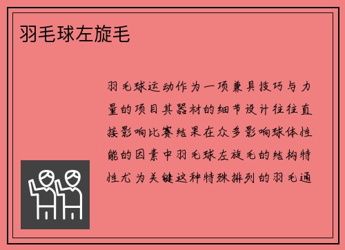 羽毛球左旋毛